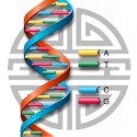 DNA Helix with Chinese Longevity character